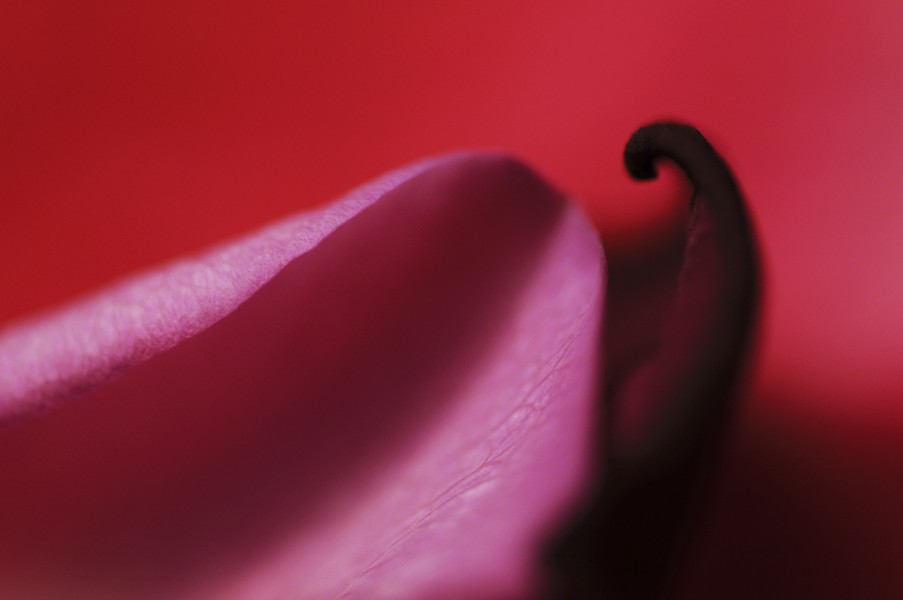 © Jacques Beun - 18.jpg - protected by IMATAG