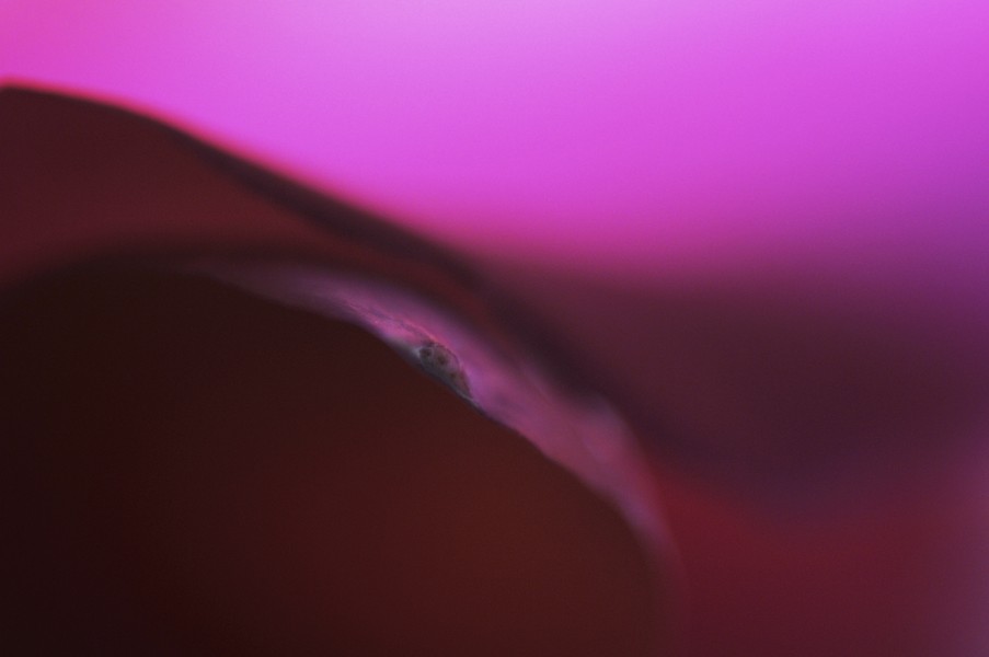 © Jacques Beun - 29.jpg - protected by IMATAG